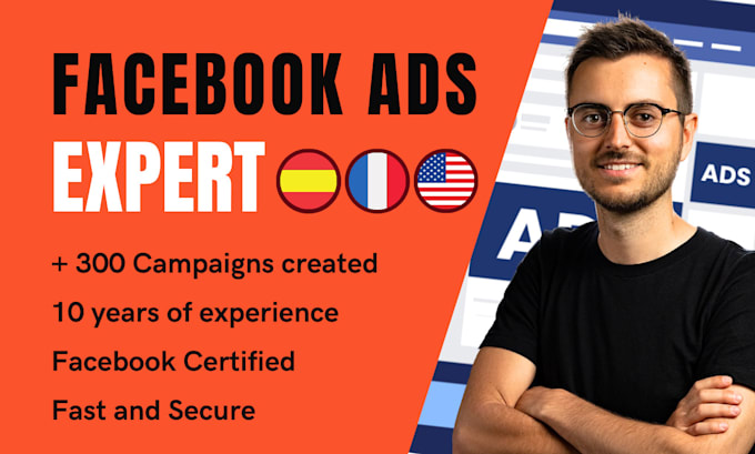 Gig Preview - Create facebook ads and instagram ads campaigns in ads manager