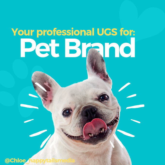 Bestseller - create engaging dog ugc, cat ugc, pet ugc videos for pet brand