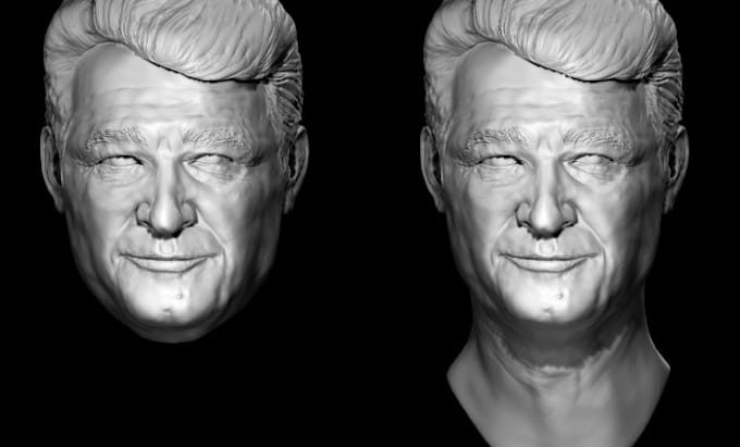 Gig Preview - Sculpt 3d head bust 3d bust model 3d head 3d face for realistic 3d printing