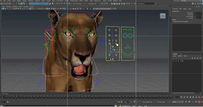 Gig Preview - Rig3d wd,3d animal rig,ue5 face rig, face expressions,vroid,vrml rig,blendshape