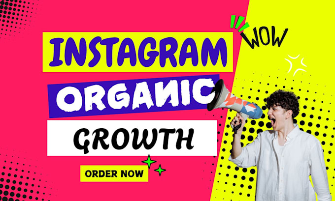 Gig Preview - Do instagram organic growth