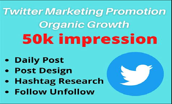 Gig Preview - Twitter x marketing and promotion with strategic organic growth perfectly