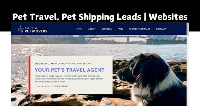 Gig Preview - Build pet travel website pet shipping pet transportation leads pet shopify store