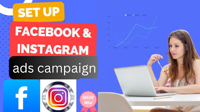 Gig Preview - Set up and manage your facebook, instagram ads campaign