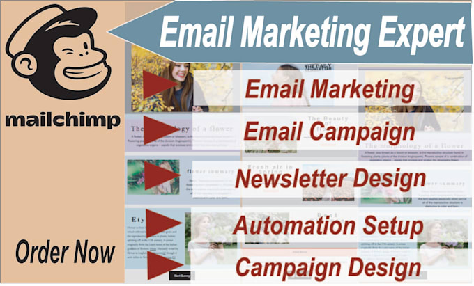 Bestseller - design a professional email marketing template with mailchimp