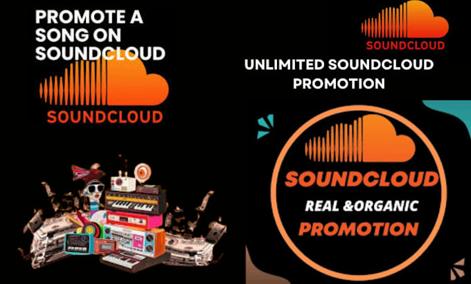 Gig Preview - Do unlimited soundcloud promotion for all music genres