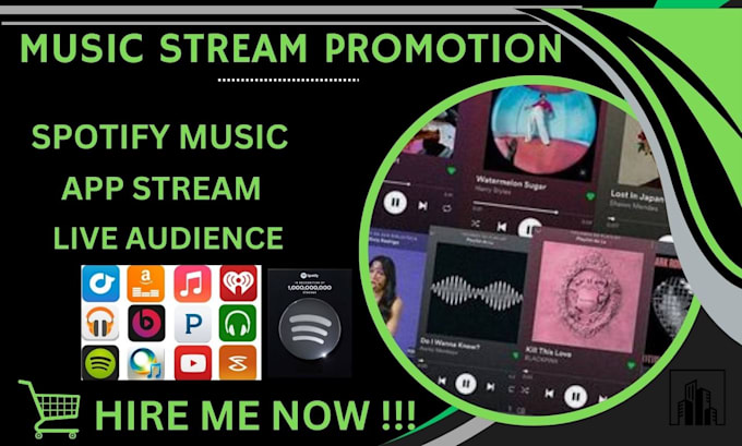 Gig Preview - Boost spotify music stream or spotify promotion