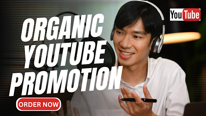 Gig Preview - Organically promote USA youtube, USA video promotion to USA active audience