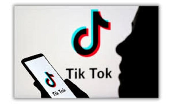 Bestseller - do amaizing tiktok dance group dance to your song with my amaizing dance video