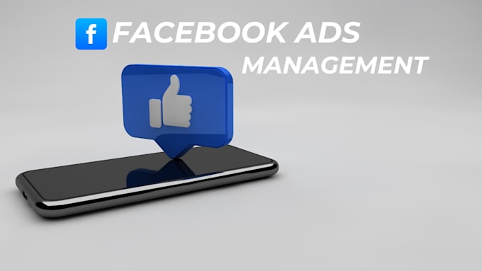 Gig Preview - Be your facebook ads manager