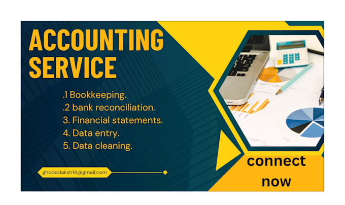 Gig Preview - Do financial data entry and accounting service