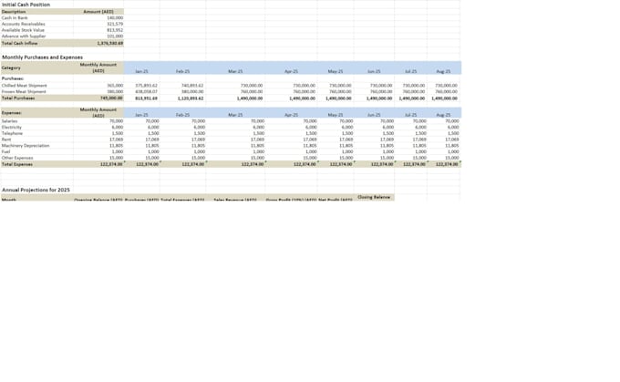 Gig Preview - Make financial business plan and budget