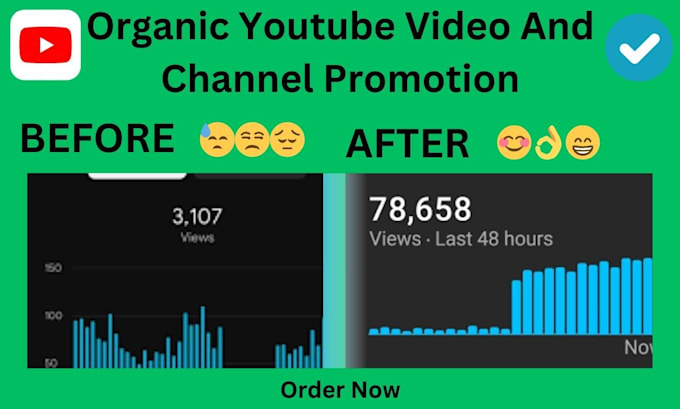 Gig Preview - Do organic USA targeted youtube video and channel promotion to USA audience