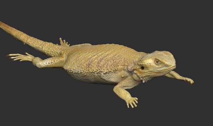 Gig Preview - Do realistic 3d animal character, 3d cgi animal character modeling for projects