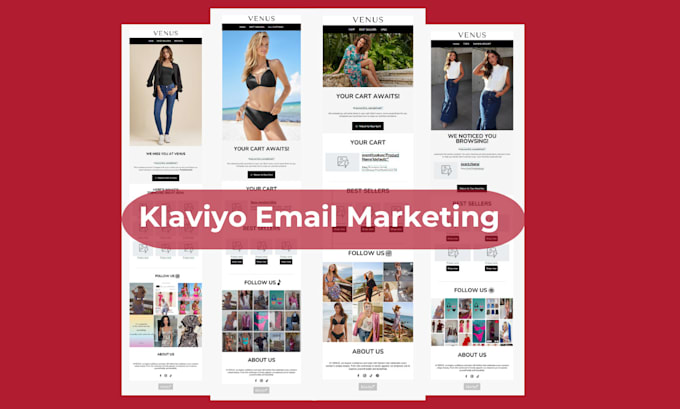 Gig Preview - Expert klaviyo email marketing  flows  shopify  woocommerce integration