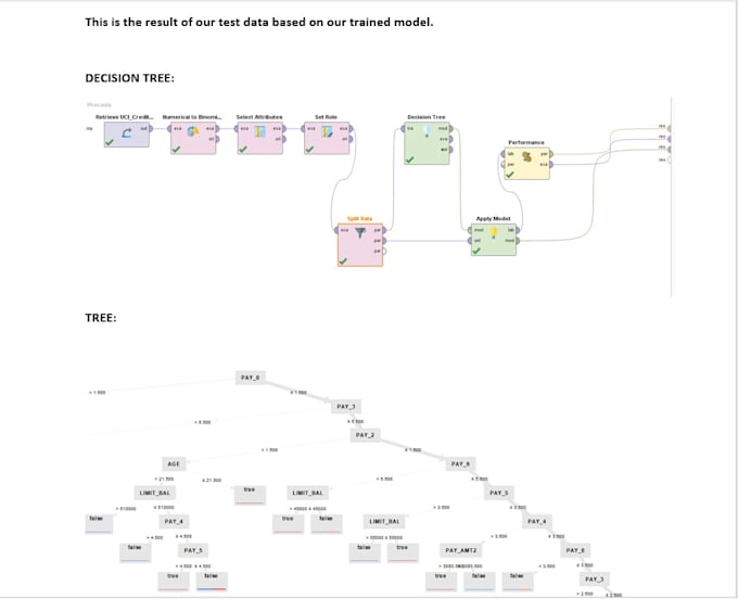 Gig Preview - Analyze data using rapidminer, weka, knime and python