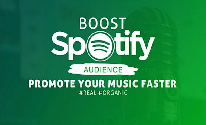 Gig Preview - Boost your spotify music profile with organic promotion