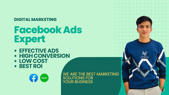 Gig Preview - Do facebook ads campaign setup and management for your business