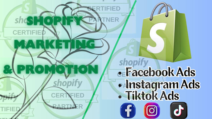 Gig Preview - Do shopify store promotion shopify ads facebook ads shopify store SEO shopify