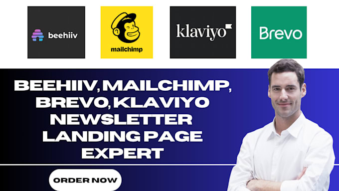 Gig Preview - Setup beehiiv mailchimp brevo newsletter template design beehive landing page