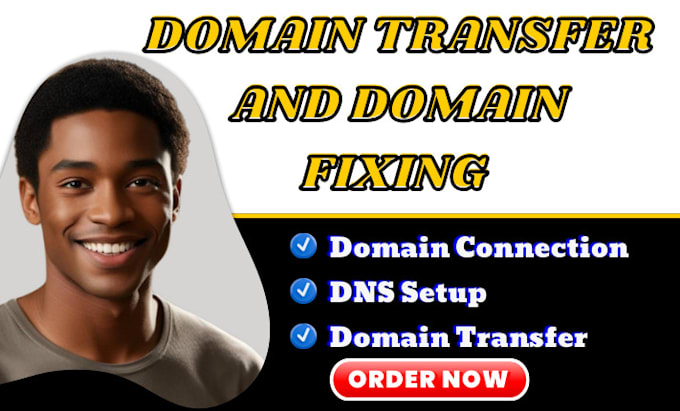 Gig Preview - Connect domain configure or fix dns records domain transfer webiste migration