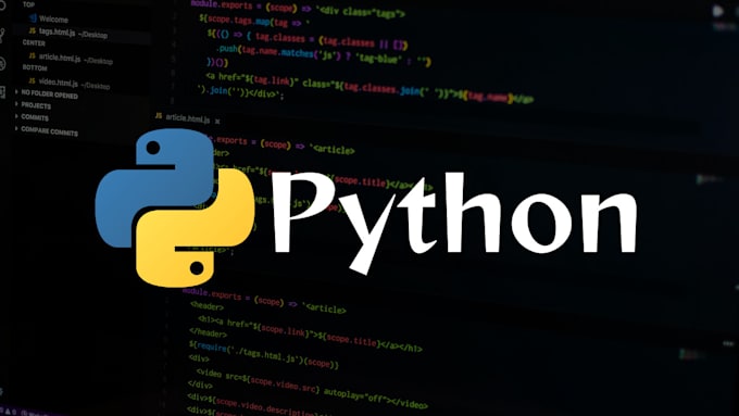 Gig Preview - Do your python projects