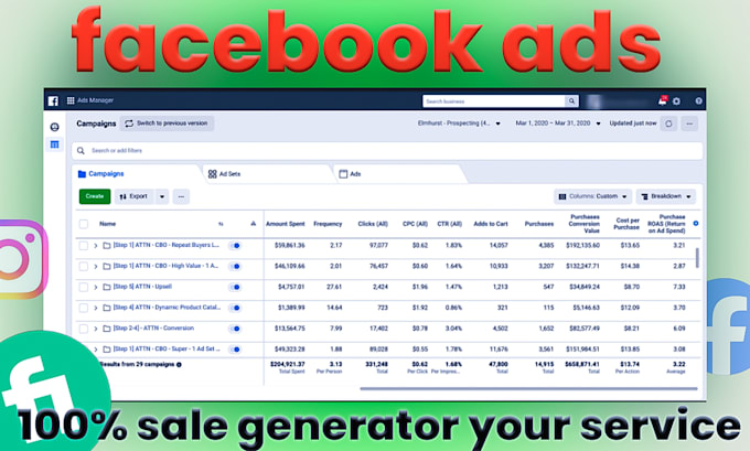 Gig Preview - Boost your sales with expert facebook ads campaigns