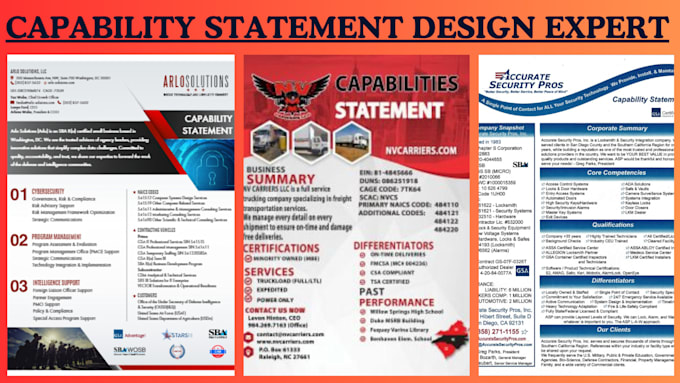 Gig Preview - Write and design government capability statement, business capability statement