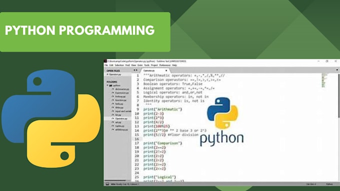 Gig Preview - Help you in python programming  and algorithm design