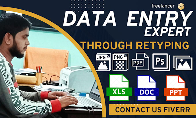 Gig Preview - Do excel data entry for data formatting or PDF to excel