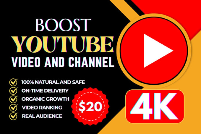 Gig Preview - Professionally promote your youtube videos to boost views and earnings