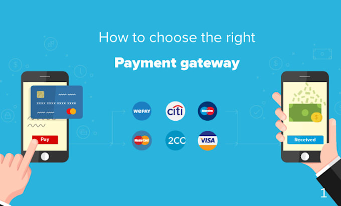 Gig Preview - Setup any high risk payment gateway integration for your website