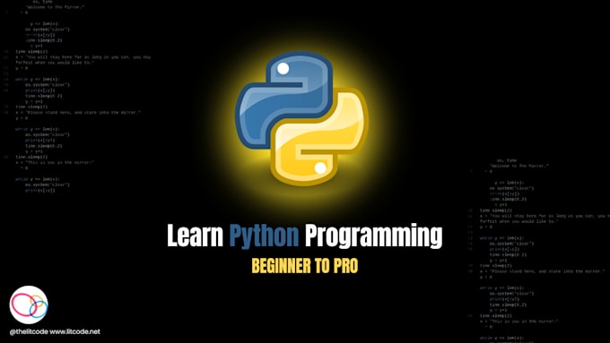 Gig Preview - Teach you python programming