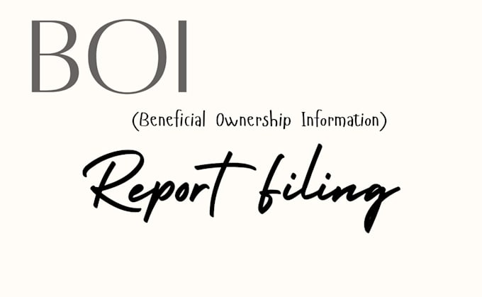 Gig Preview - File boi report, beneficial ownership information filing to fincen, US llc boi