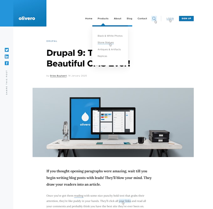 Gig Preview - To develop custom drupal modules