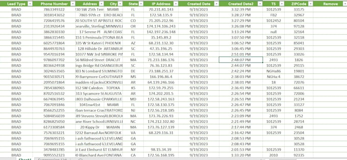 Gig Preview - Fix, clean, and format your spreadsheet data