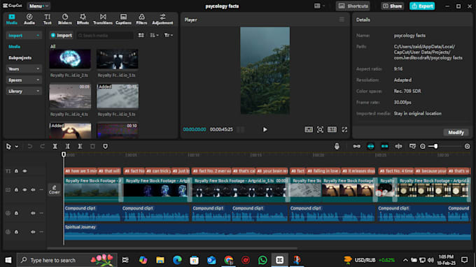 Bestseller - any type of shorts video editing you want