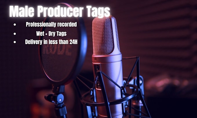 Gig Preview - Record male producer tags in less than 24h