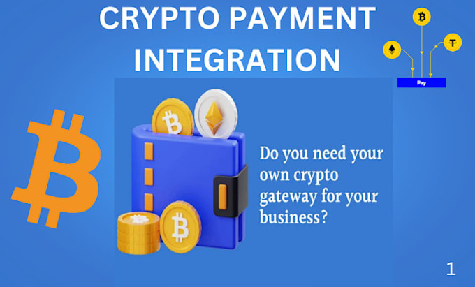 Gig Preview - Create crypto payment gateway in your website, cryptocurrency wallet