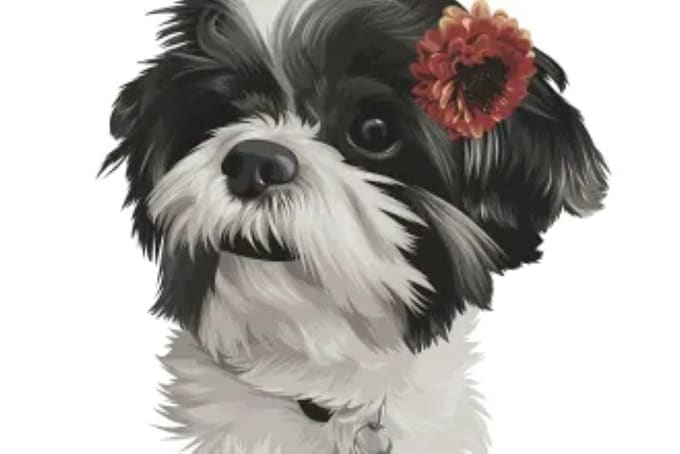 Gig Preview - Draw custom pet portrait, dog, cat ,animal portrait, vector art