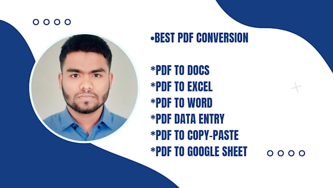 Gig Preview - Do data entry and best pdf conversion