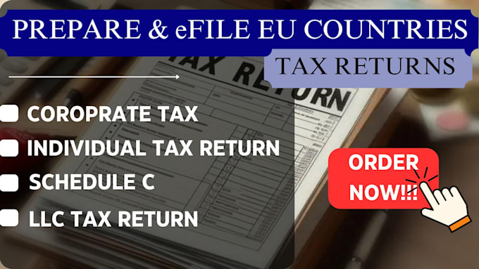 Gig Preview - Prepare and efile eu countries tax return quickly and accurately