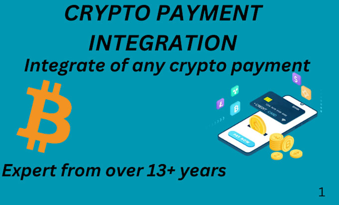 Gig Preview - Integrate crypto payment gateways into your website