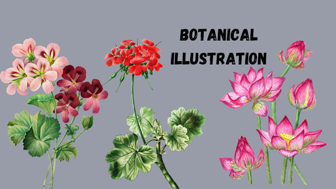 Gig Preview - Draw line art illustration, botanica illustration, flower, animal, plant, fruit