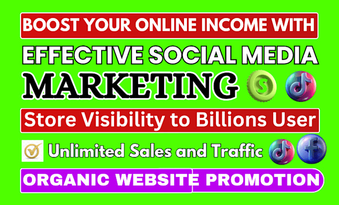 Gig Preview - Increase your website promotion, organic website, social media ads campaign