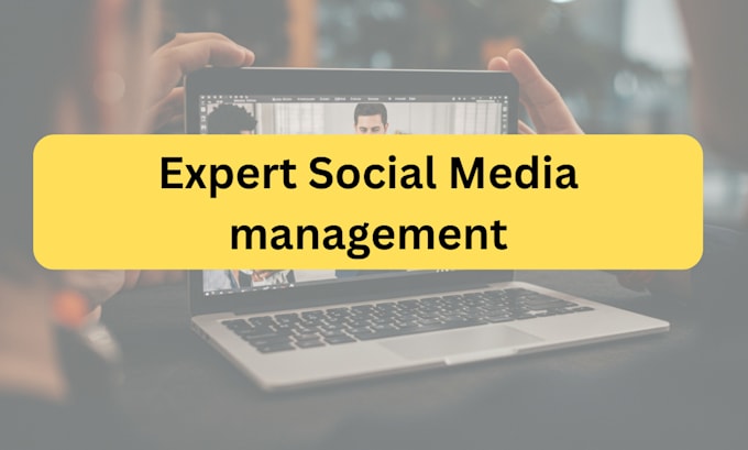 Gig Preview - Be your social media manager and content creator, weekly posting