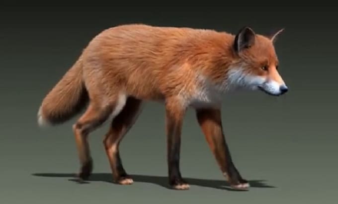 Bestseller - create 3d animal model creature with realistic fur xgen hair animal animation