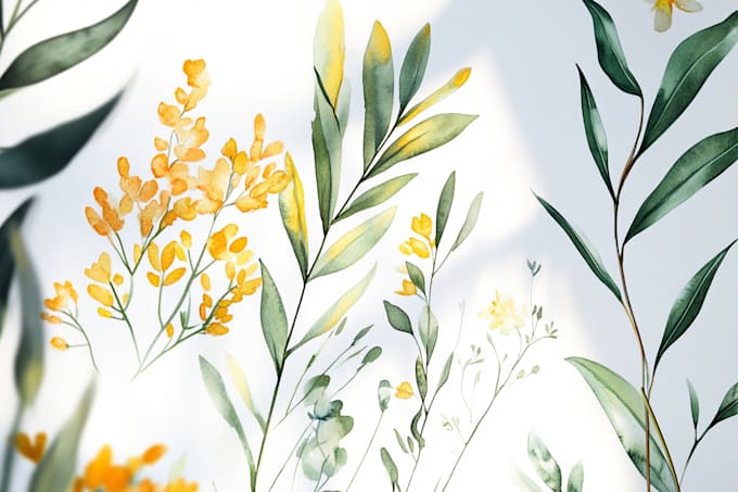 Gig Preview - Create a botanical watercolor illustration