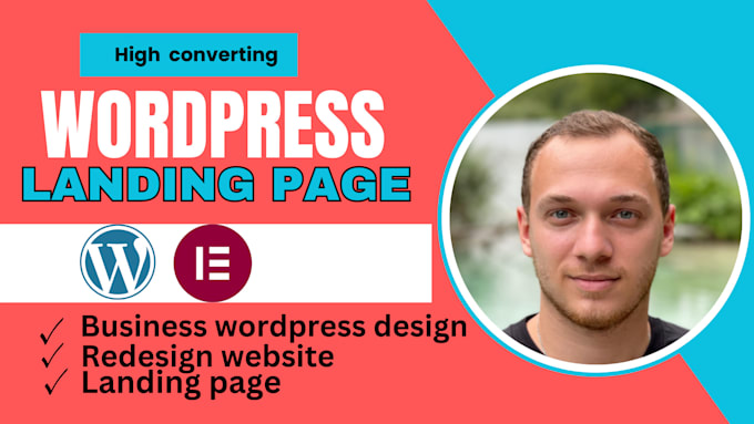 Gig Preview - Design an eye catching wordpress landing page