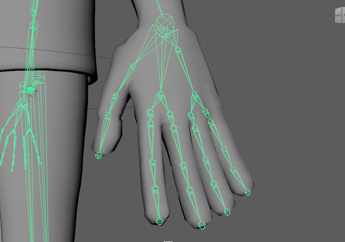 Gig Preview - Do 3d character rigging